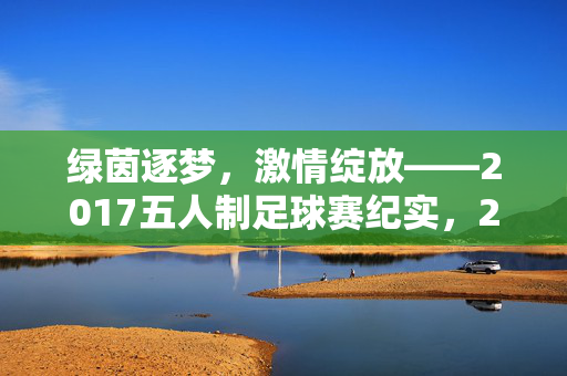 绿茵逐梦，激情绽放——2017五人制足球赛纪实，2017五人制足球赛纪实