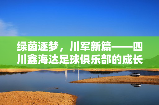 绿茵逐梦，川军新篇——四川鑫海达足球俱乐部的成长之路，绿茵逐梦，川军新篇