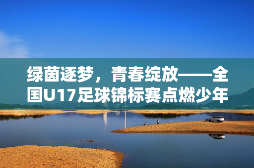 绿茵逐梦，青春绽放——全国U17足球锦标赛点燃少年足球激情