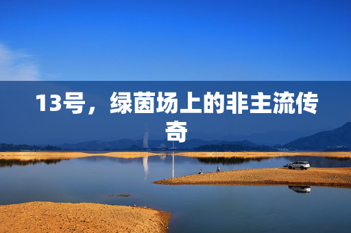 13号，绿茵场上的非主流传奇