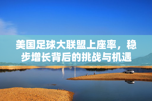 美国足球大联盟上座率，稳步增长背后的挑战与机遇