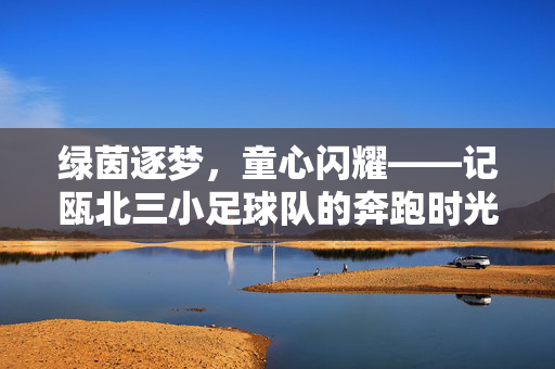 绿茵逐梦，童心闪耀——记瓯北三小足球队的奔跑时光，逐梦绿茵，童心闪耀