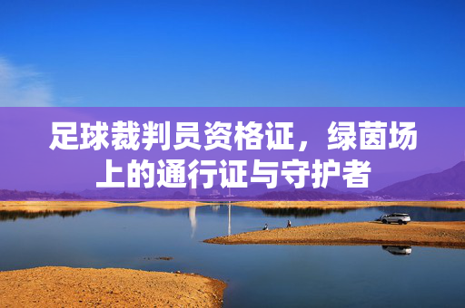 足球裁判员资格证，绿茵场上的通行证与守护者