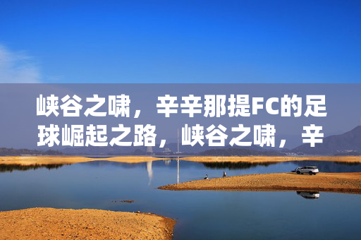 峡谷之啸，辛辛那提FC的足球崛起之路，峡谷之啸，辛辛那提FC的足球崛起之路