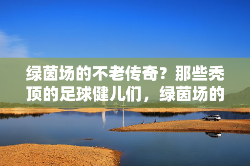 绿茵场的不老传奇？那些秃顶的足球健儿们，绿茵场的不老传奇，秃顶足球健儿