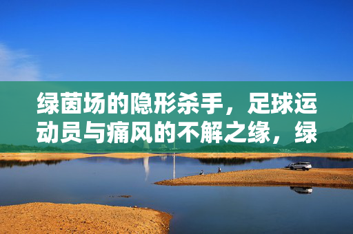 绿茵场的隐形杀手，足球运动员与痛风的不解之缘，绿茵场的隐痛，足球运动员与痛风的不解之缘