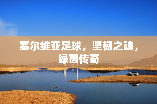 塞尔维亚足球，坚韧之魂，绿茵传奇