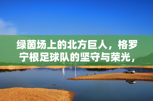 绿茵场上的北方巨人，格罗宁根足球队的坚守与荣光，绿茵巨人，格罗宁根的坚守与荣光