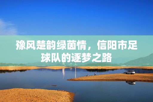 豫风楚韵绿茵情，信阳市足球队的逐梦之路