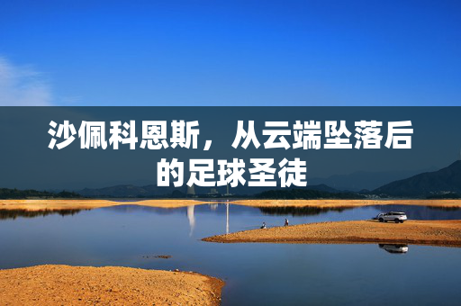 沙佩科恩斯，从云端坠落后的足球圣徒