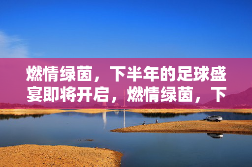 燃情绿茵，下半年的足球盛宴即将开启，燃情绿茵，下半年足球盛宴启幕
