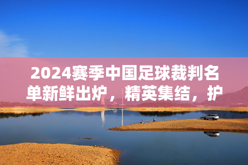 2024赛季中国足球裁判名单新鲜出炉，精英集结，护航绿茵公平，2024赛季中国足球裁判名单出炉，精英护航绿茵公平