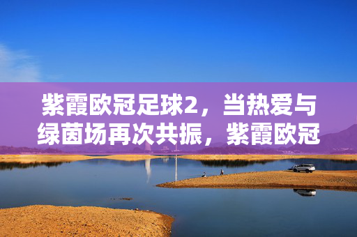 紫霞欧冠足球2，当热爱与绿茵场再次共振，紫霞欧冠足球2，当热爱与绿茵场再次共振