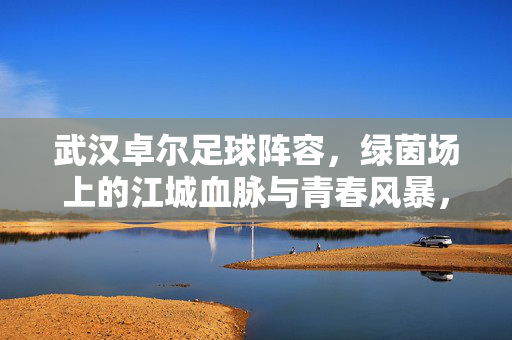 武汉卓尔足球阵容，绿茵场上的江城血脉与青春风暴，武汉卓尔，江城血脉与青春风暴