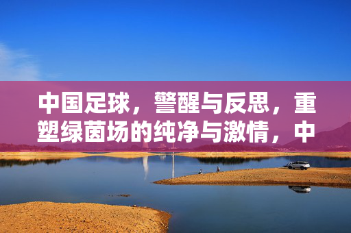 中国足球，警醒与反思，重塑绿茵场的纯净与激情，中国足球警醒反思，重塑绿茵纯净与激情