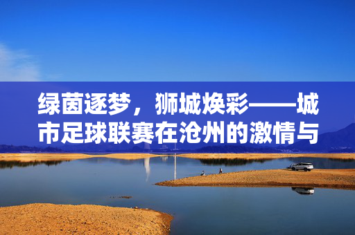 绿茵逐梦，狮城焕彩——城市足球联赛在沧州的激情与浪潮，狮城绿茵逐梦，城市足球联赛激情浪潮