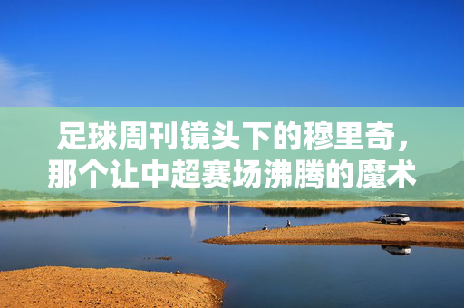 足球周刊镜头下的穆里奇,那个让中超赛场沸腾的魔术师,足球周刊镜头下的穆里奇,中超沸腾的魔术师