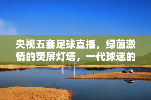央视五套足球直播，绿茵激情的荧屏灯塔，一代球迷的青春坐标，央视五套足球直播，绿茵激情的青春灯塔