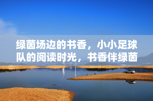 绿茵场边的书香，小小足球队的阅读时光，书香伴绿茵，小小足球队的阅读时光