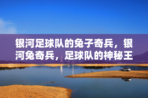 银河足球队的兔子奇兵，银河兔奇兵，足球队的神秘王牌