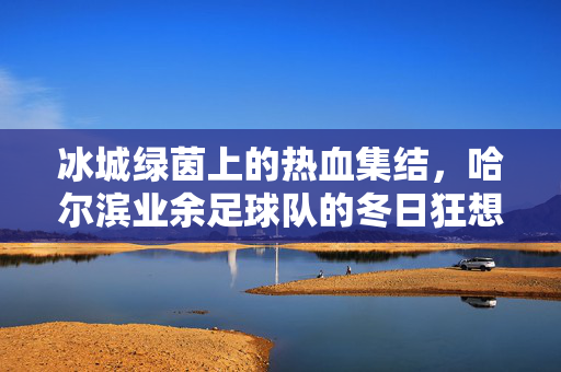 冰城绿茵上的热血集结，哈尔滨业余足球队的冬日狂想，冰城冬日绿茵狂想，哈尔滨业余足球队热血集结