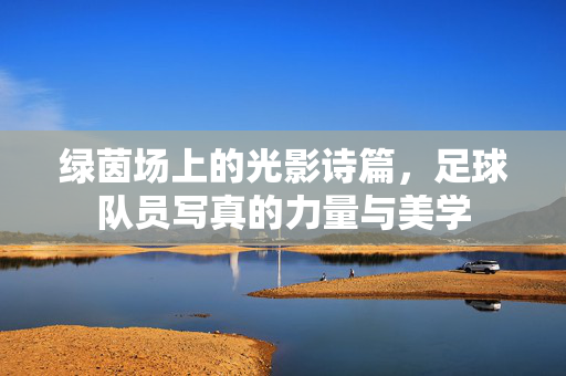 绿茵场上的光影诗篇，足球队员写真的力量与美学
