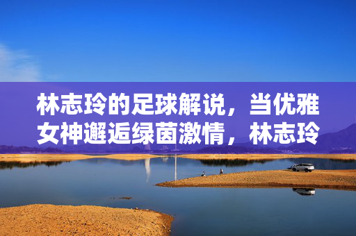 林志玲的足球解说,当优雅女神邂逅绿茵激情,林志玲的足球解说,优雅女神邂逅绿茵激情