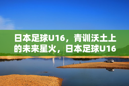 日本足球U16，青训沃土上的未来星火，日本足球U16，青训沃土育星火