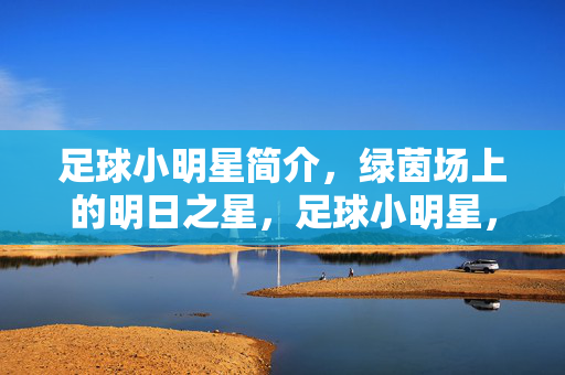 足球小明星简介,绿茵场上的明日之星,足球小明星,绿茵场上的明日之星