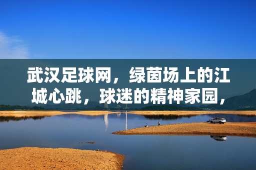 武汉足球网,绿茵场上的江城心跳,球迷的精神家园,武汉足球网,绿茵江城心跳,球迷精神家园