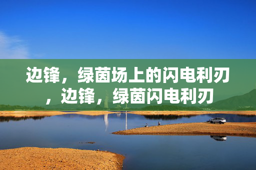 边锋,绿茵场上的闪电利刃,边锋,绿茵闪电利刃