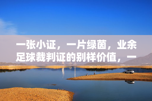 一张小证，一片绿茵，业余足球裁判证的别样价值，一张小证，一片绿茵，业余足球裁判证的别样价值