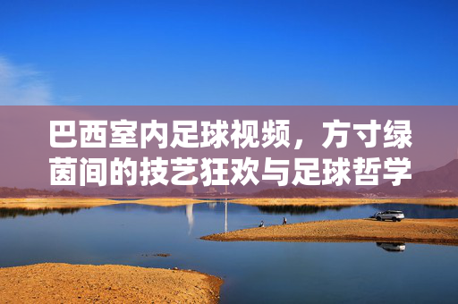 巴西室内足球视频，方寸绿茵间的技艺狂欢与足球哲学，方寸绿茵，巴西室内足球的技艺狂欢与足球哲学