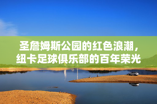 圣詹姆斯公园的红色浪潮，纽卡足球俱乐部的百年荣光与复兴之路，圣詹姆斯公园的红色荣光，纽卡百年复兴之路