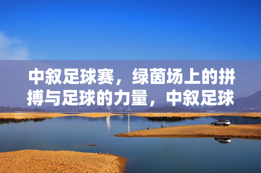 中叙足球赛，绿茵场上的拼搏与足球的力量，中叙足球赛，绿茵场上的拼搏与力量