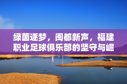 绿茵逐梦，闽都新声，福建职业足球俱乐部的坚守与崛起