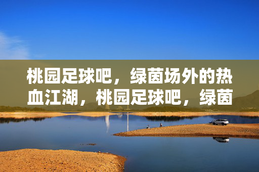 桃园足球吧，绿茵场外的热血江湖，桃园足球吧，绿茵场外的热血江湖