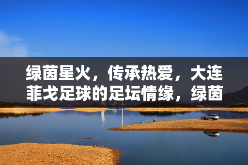 绿茵星火，传承热爱，大连菲戈足球的足坛情缘，绿茵星火传热爱，大连菲戈足球的足坛情缘