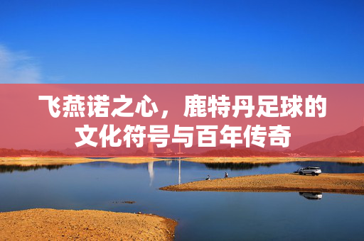飞燕诺之心，鹿特丹足球的文化符号与百年传奇