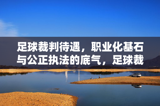 足球裁判待遇，职业化基石与公正执法的底气，足球裁判待遇，职业化基石与公正执法底气