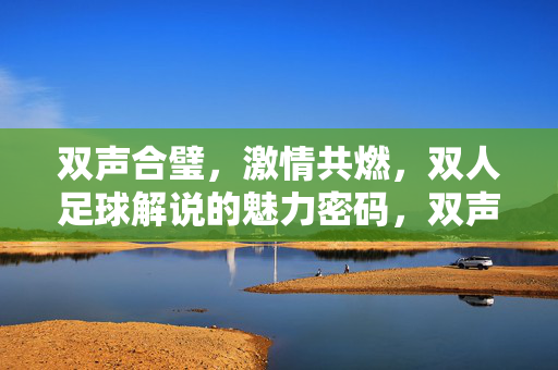 双声合璧，激情共燃，双人足球解说的魅力密码，双声合璧，激情共燃，双人足球解说的魅力密码
