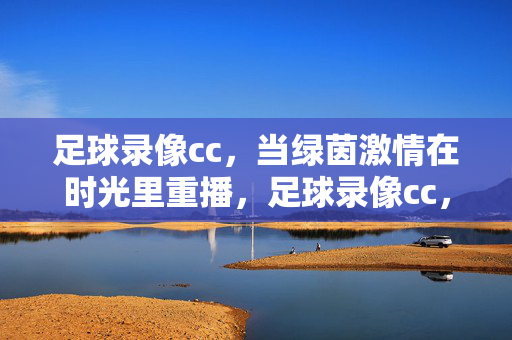 足球录像cc，当绿茵激情在时光里重播，足球录像cc，绿茵时光里的激情重播