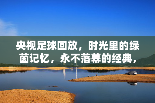 央视足球回放，时光里的绿茵记忆，永不落幕的经典，央视足球回放，时光里的绿茵经典
