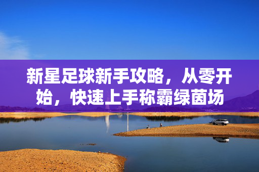 新星足球新手攻略，从零开始，快速上手称霸绿茵场
