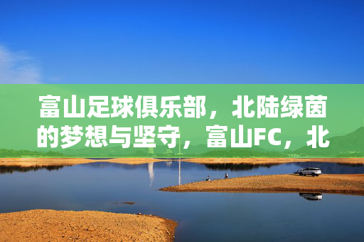 富山足球俱乐部，北陆绿茵的梦想与坚守，富山FC，北陆绿茵的梦想与坚守