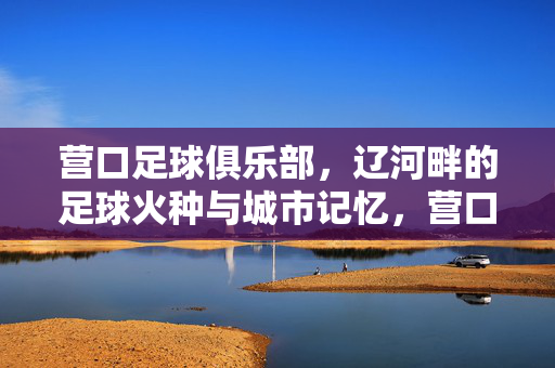 营口足球俱乐部，辽河畔的足球火种与城市记忆，营口足球俱乐部，辽河畔的火种与城市记忆