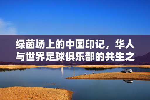 绿茵场上的中国印记，华人与世界足球俱乐部的共生之路，绿茵共生，华人与世界足球的中国印记