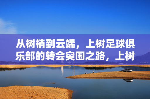 从树梢到云端，上树足球俱乐部的转会突围之路，上树足球俱乐部，转会突围，从树梢到云端