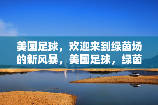 美国足球，欢迎来到绿茵场的新风暴，美国足球，绿茵场新风暴