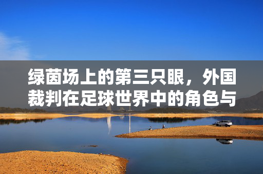 绿茵场上的第三只眼，外国裁判在足球世界中的角色与争议，绿茵场上的第三只眼，外国裁判的角色与争议